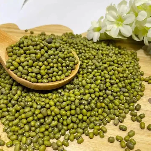 Оптовая цена зеленые бобы мунг органические