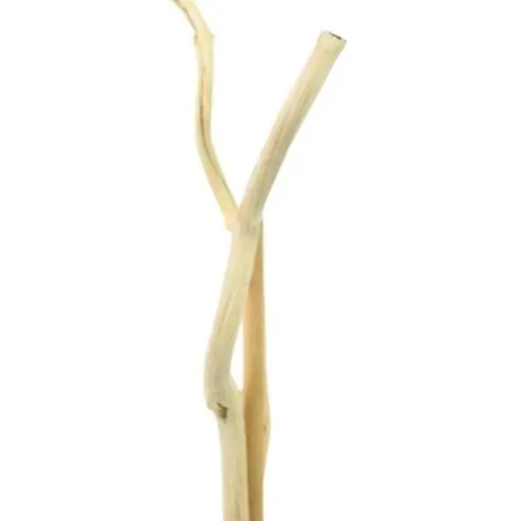 Eco Friendly 100% Natural Cane Original Dula-Log Bamboo Garden Stakes For Agriculture Planting