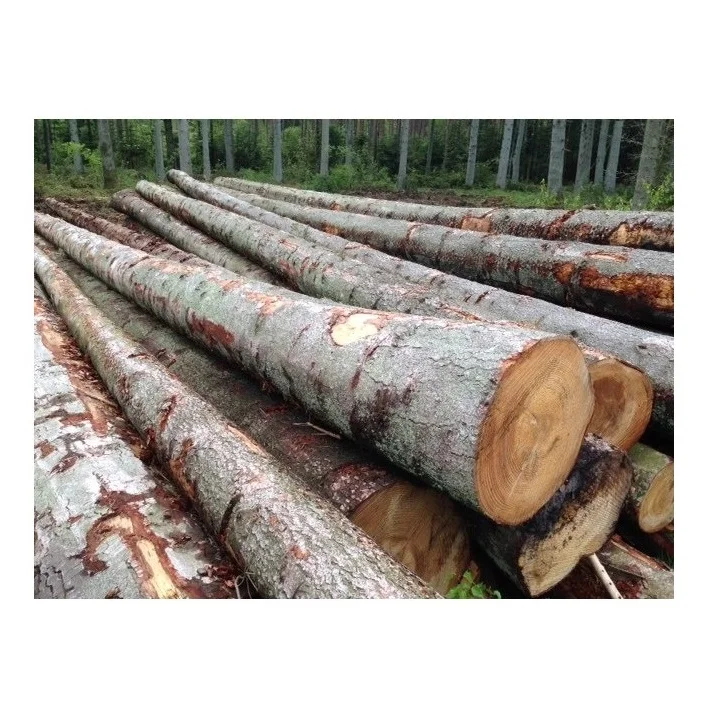 Деревянные круглые бревна для изготовления мебели-высокое качество, конкурентоспособная цена