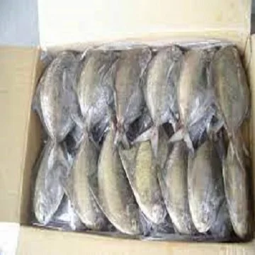 Frozen Black Pomfret/Vietnam Pomfret Fish