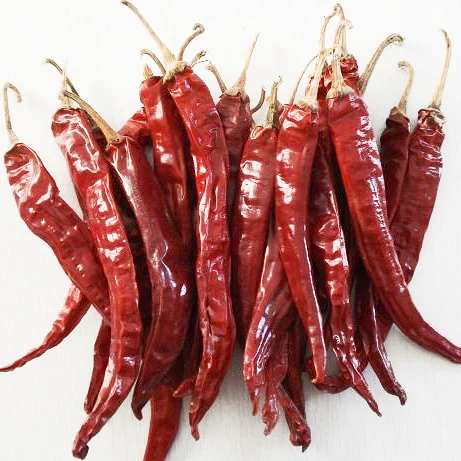 Bulk Purchase Whole Natural Dried Chilli Top Grade Indian Spices & Herbs Products Buy From India at Wholesale