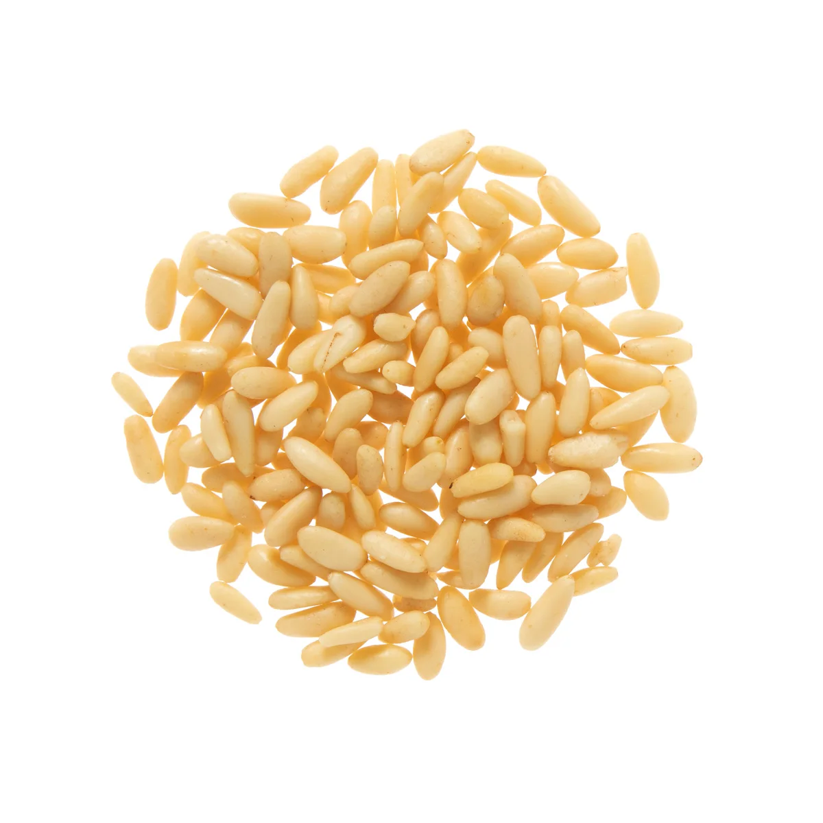 Fresh Pine Nuts and Quality pine nuts