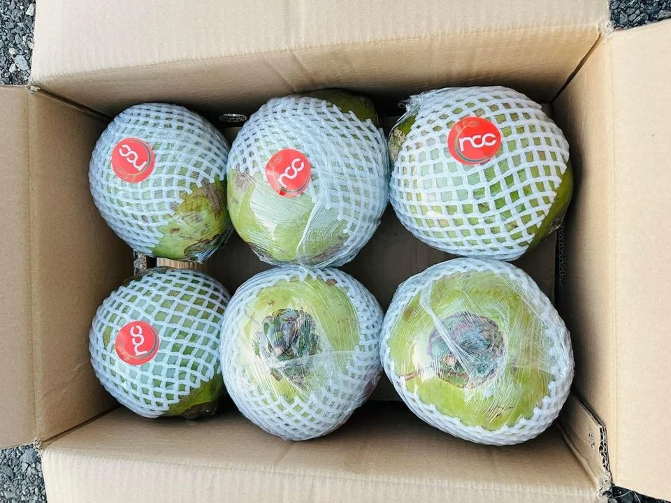Competitive Price Tropical Fruit Big Size For Export Fresh Young Coconut Origin Vietnam