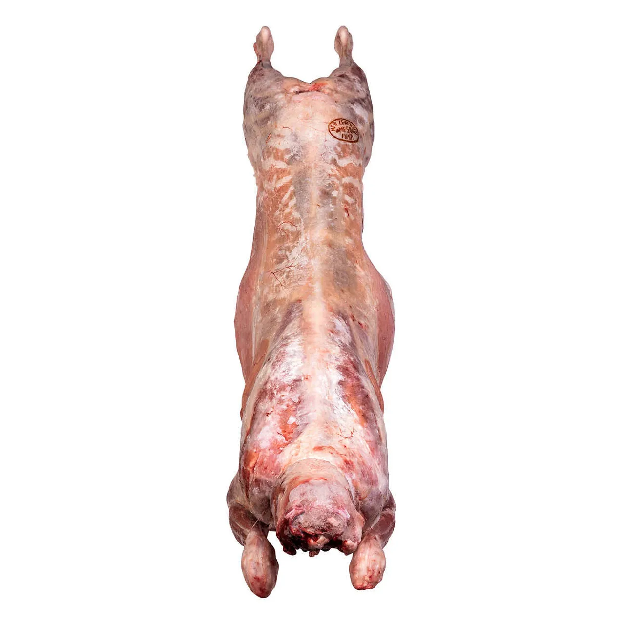 Wholesale Variety of Frozen Lamb Meat Fresh High Quality Boneless Lamb Meat