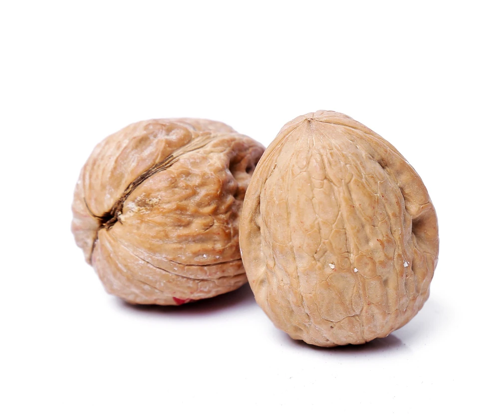 PREMIUM QUALITY WALNUT 100% TURKEY WHOLESALE NUTRITIOUS WALNUT KERNEL AGROWELL TURKISHGOODS