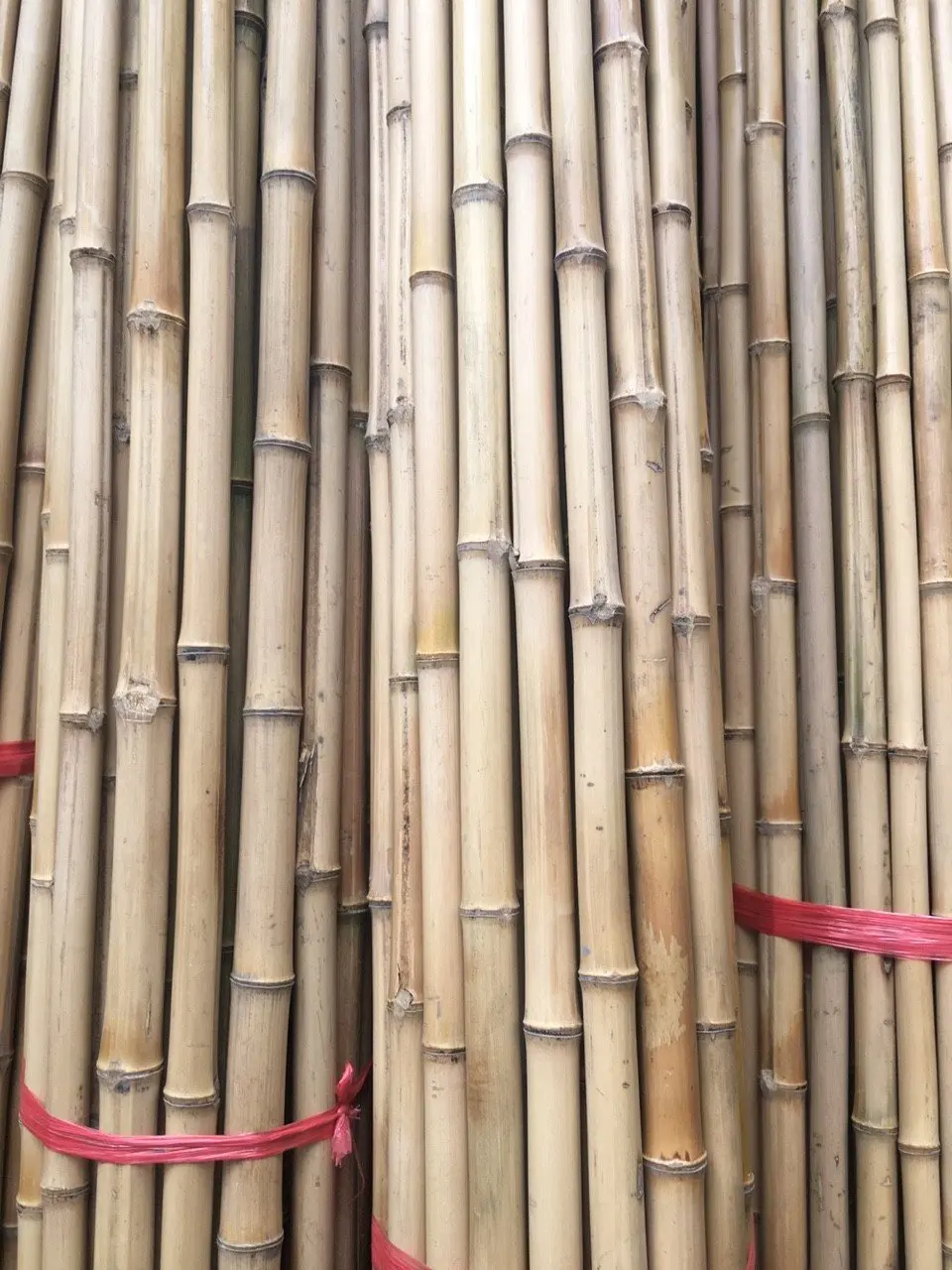 Vietnamese natural bamboo fence wholesale price! Raw Bamboo Poles for Gardening and Decoration! Bamboo Pole Natural