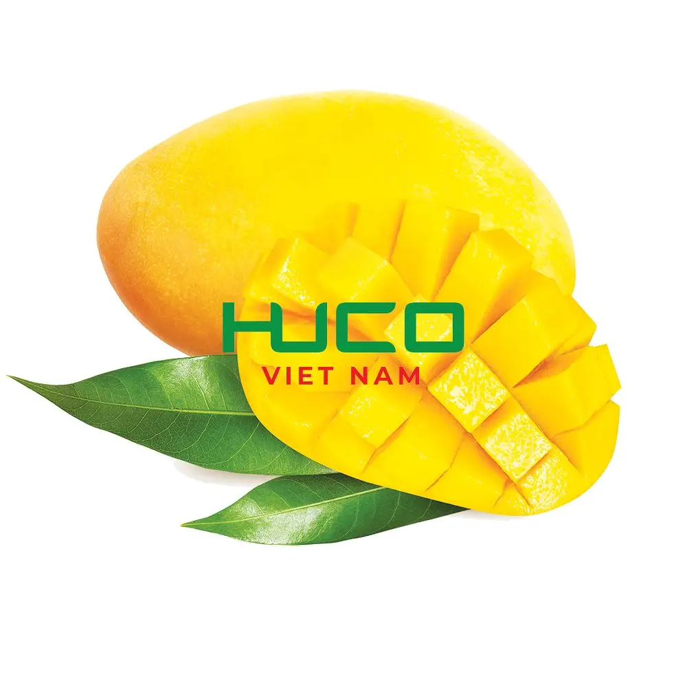 BEST PRICE High Quality Tropical Fresh Mango Fresh Mango Fruit Exporter from Vietnam
