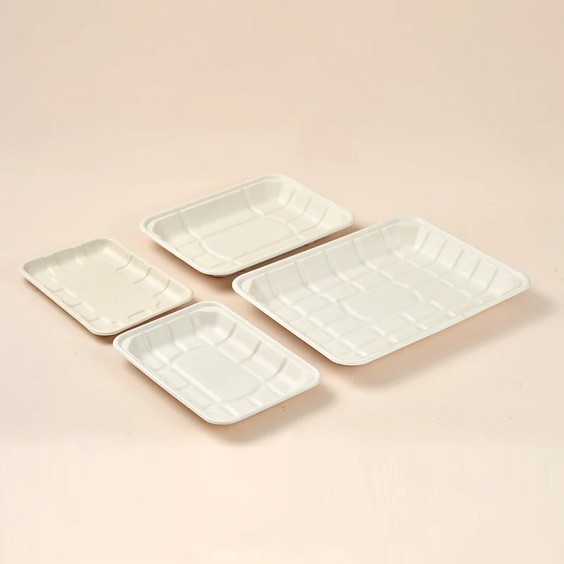 Hot Sale Compostable Dishes Sugarcane Bagasse Biodegradable Vegetable Meat Tray