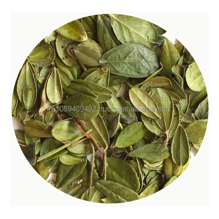 Whole dried lingonberry leaves tea natural product of Siberia great quality wholesale prices dried lingonberry leaf