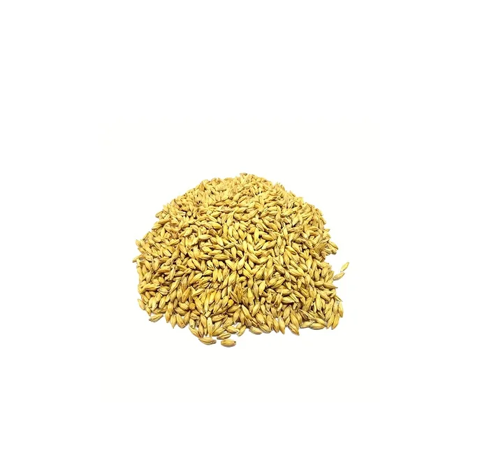 100% Органическая Ферма Свежий ячмень матовый