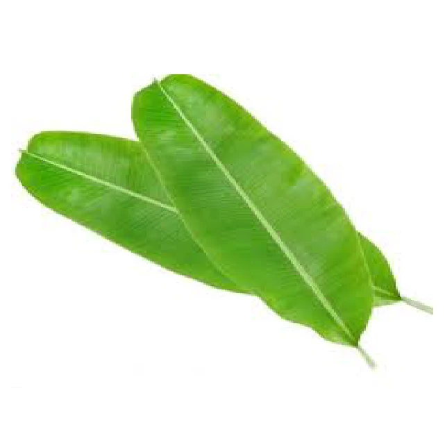 Product fresh Bananas from Viet Nam round Shape Banana Leaf High Quality