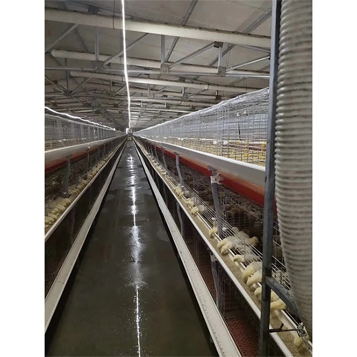 Оптовая продажа клетка для куриных яиц