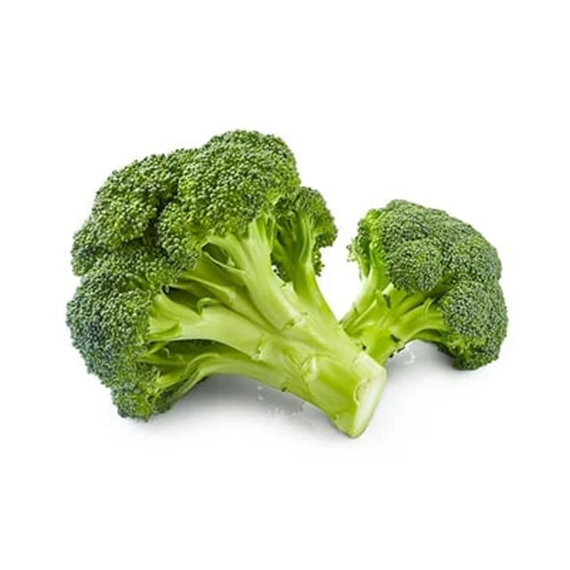 Fresh Vegetables Organic Green Broccoli from Egypt