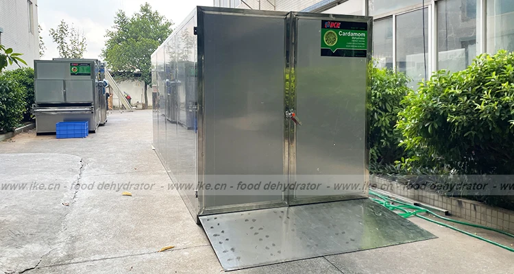 IKE Heat Pump Industrial Small Cocoa Peanut Seed Dryer Coffee Bean Betel Nut Pepper Garlic Dehydrator Herb Spice Drying Machine