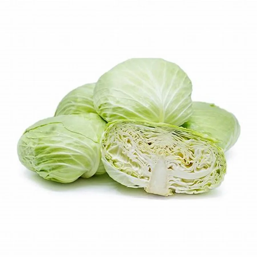 100% Mature Top Quality Fresh Green Cabbage in Stock Quantity