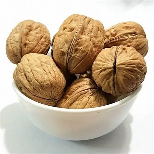 Dried and Fresh Organic Whole Walnuts - High Grade Wholesale Walnut from USA producers