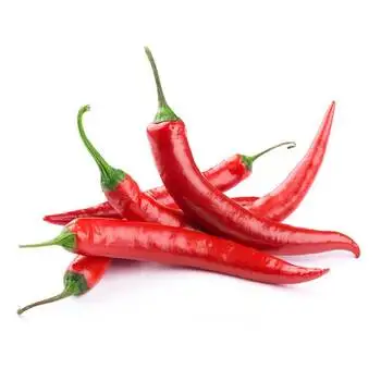 100% Natural Fresh Chili Peppers High Quality Chili Peppers at Wholesale Price from Manufacturer