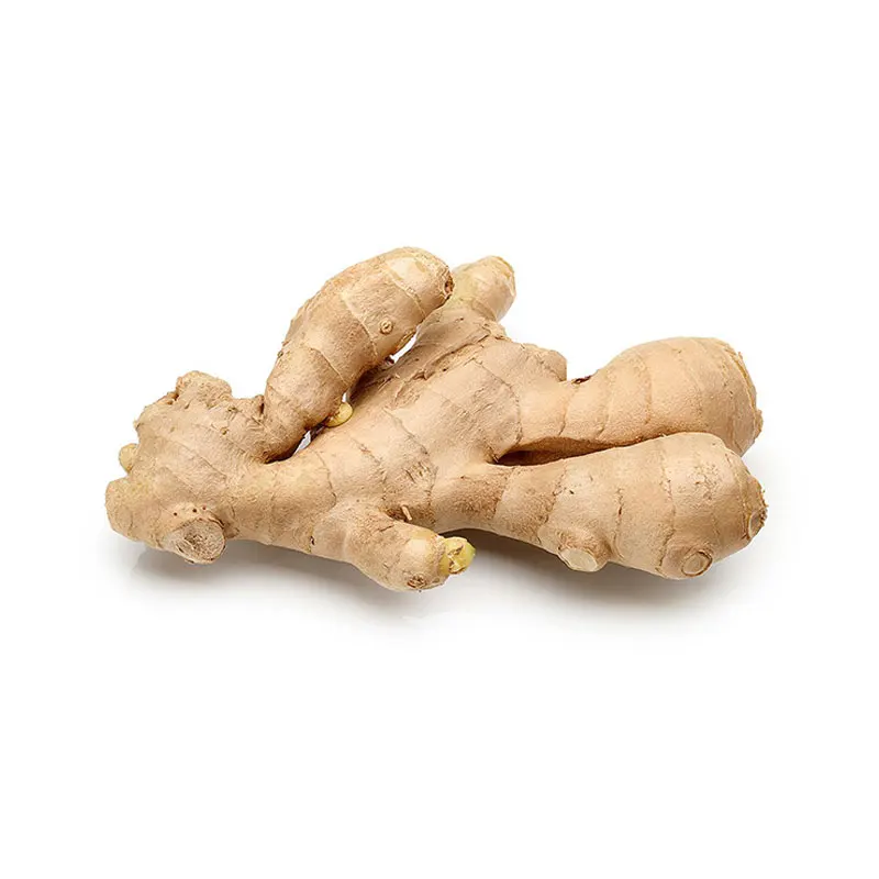Indian Fresh Ginger Single Spices & Herbs Wholesale Supplier