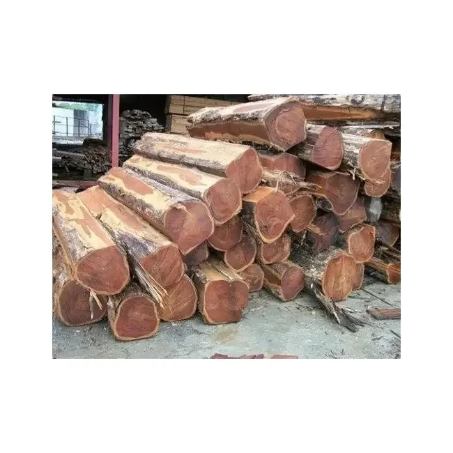 Bulk Wholesale Price Pine Round Logs Timber High Quality Dried Pine Wood Log Pine Saw Logs In Cheap Price White Ash Kay