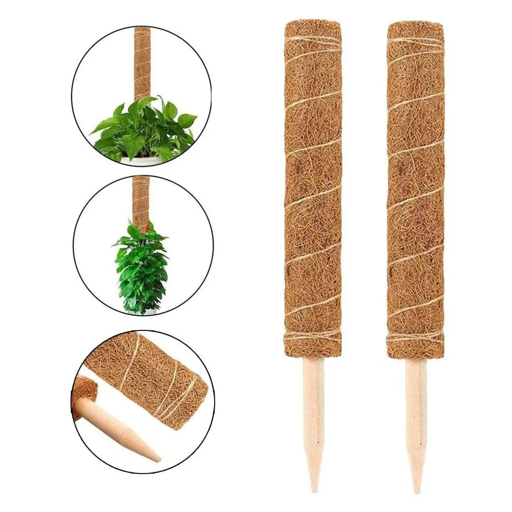 Tomato support plant stick made of coconut coir fiber 100% eco friendly natural hot sale from Vietnam