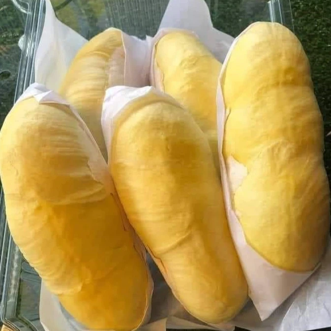 Fresh Durians Fruit Monthong Durian Sweet and Delicious Natural 100% from Thailand Premium Quality First Grade