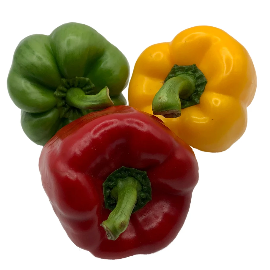 Fresh bell pepper for wholesale sweet pepper fresh capsicum high quality bell pepper