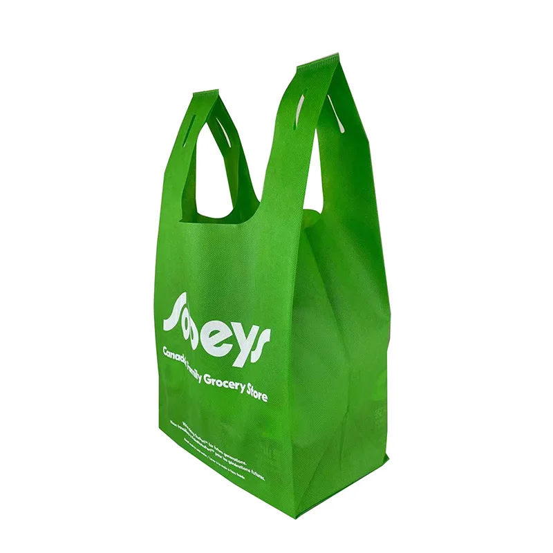Canada Market Reusable Shopping Bag Eco Friendly Nylon Cloth Durable And Lightweight Non Woven Bags From Vietnam Supplier