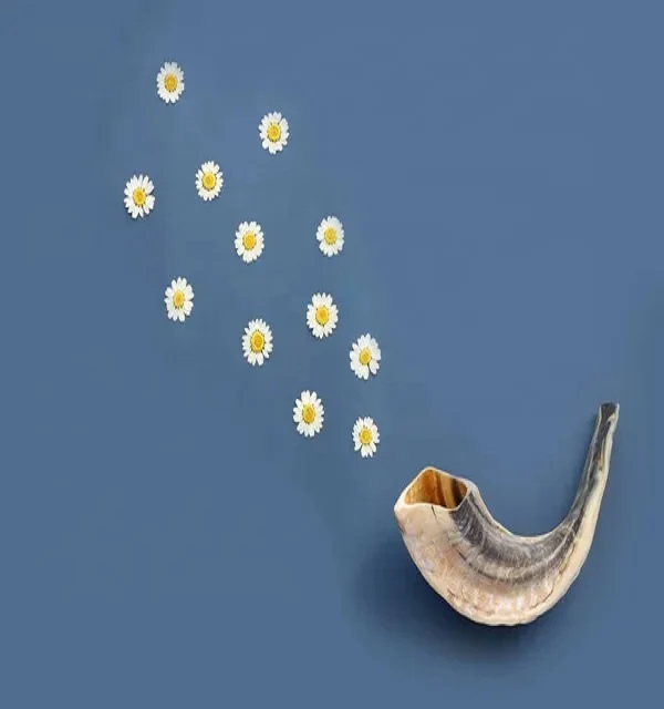 Top Selling Polish Ram Horn Natural Kudu Horns Jewish Religion Music Instrument  Accessories