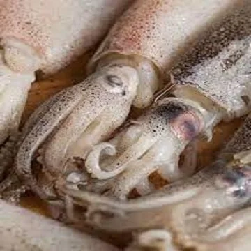 Замороженный детский кальмар (3-5 см) замороженный Осьминог/детский осьминог