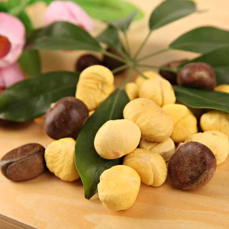 Organic Chestnuts Kernels High Quality Fresh Import Sweet Tasted Dried Peeled Raw Food Good Selling for Sale