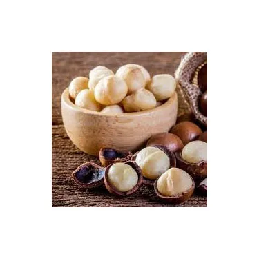 Купить лучшее качество Орехи макадамия с скорлупой ореха оптом поставка на экспорт по лучшим ценам высшего качества