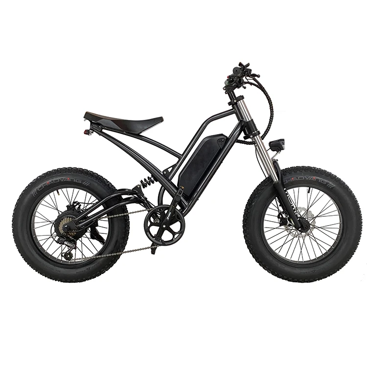 20 Inch Off Road Ebike Electric Hybrid Bike Electric Fat Tire Bike Bicycle 1000W Motor Power Electric Mountain Bike