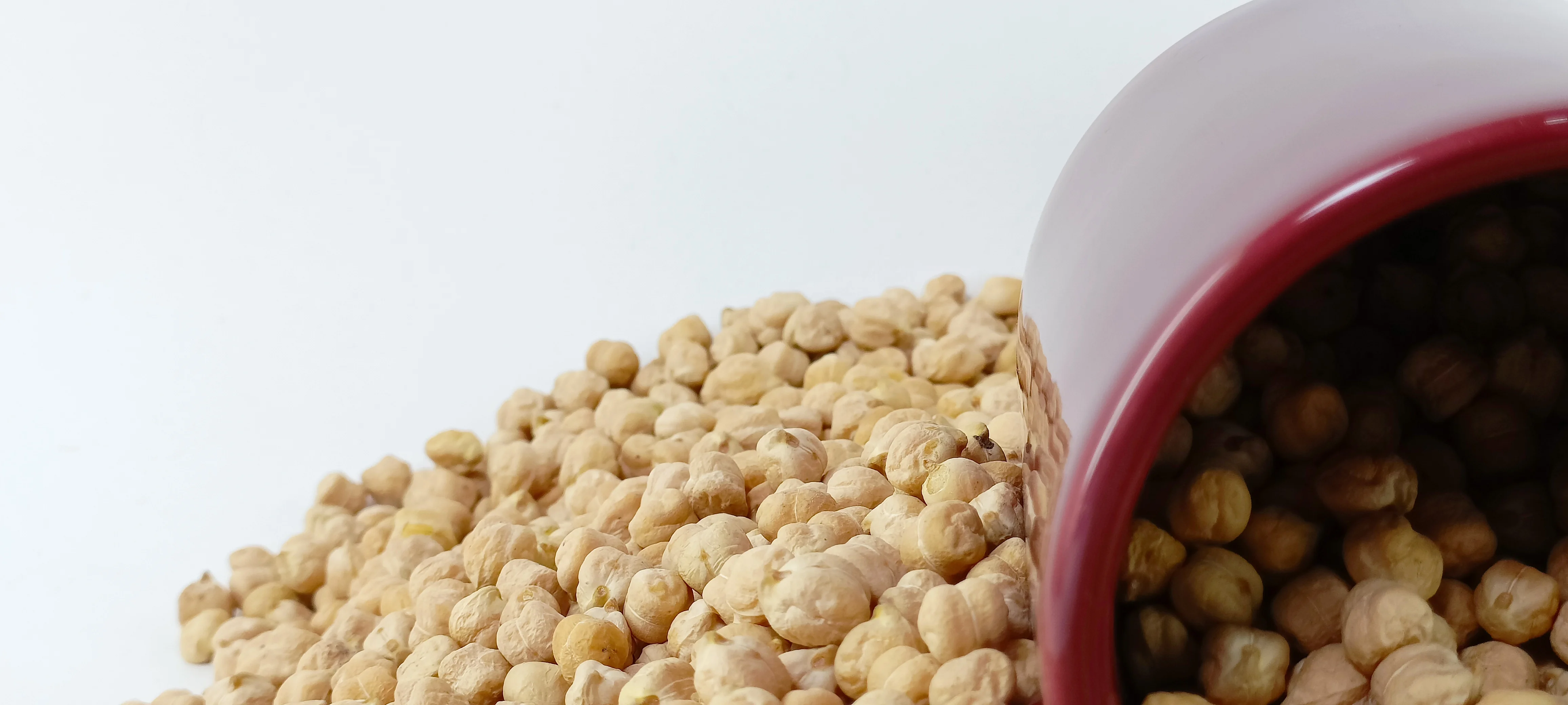 Discounted Bulk Chickpeas  High Nutritional Value, Fresh Neutral Smell, New Crop 2024, Direct Factory Sale