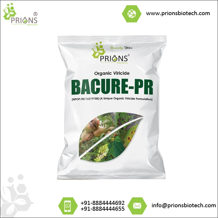 100% Concentration Organic Bactericide Pesticides BACURE-PR for All Agriculture and Horticulture Crops at Wholesale Price