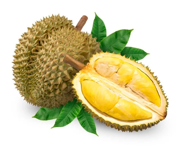 durian fruit musang king durian malaysia