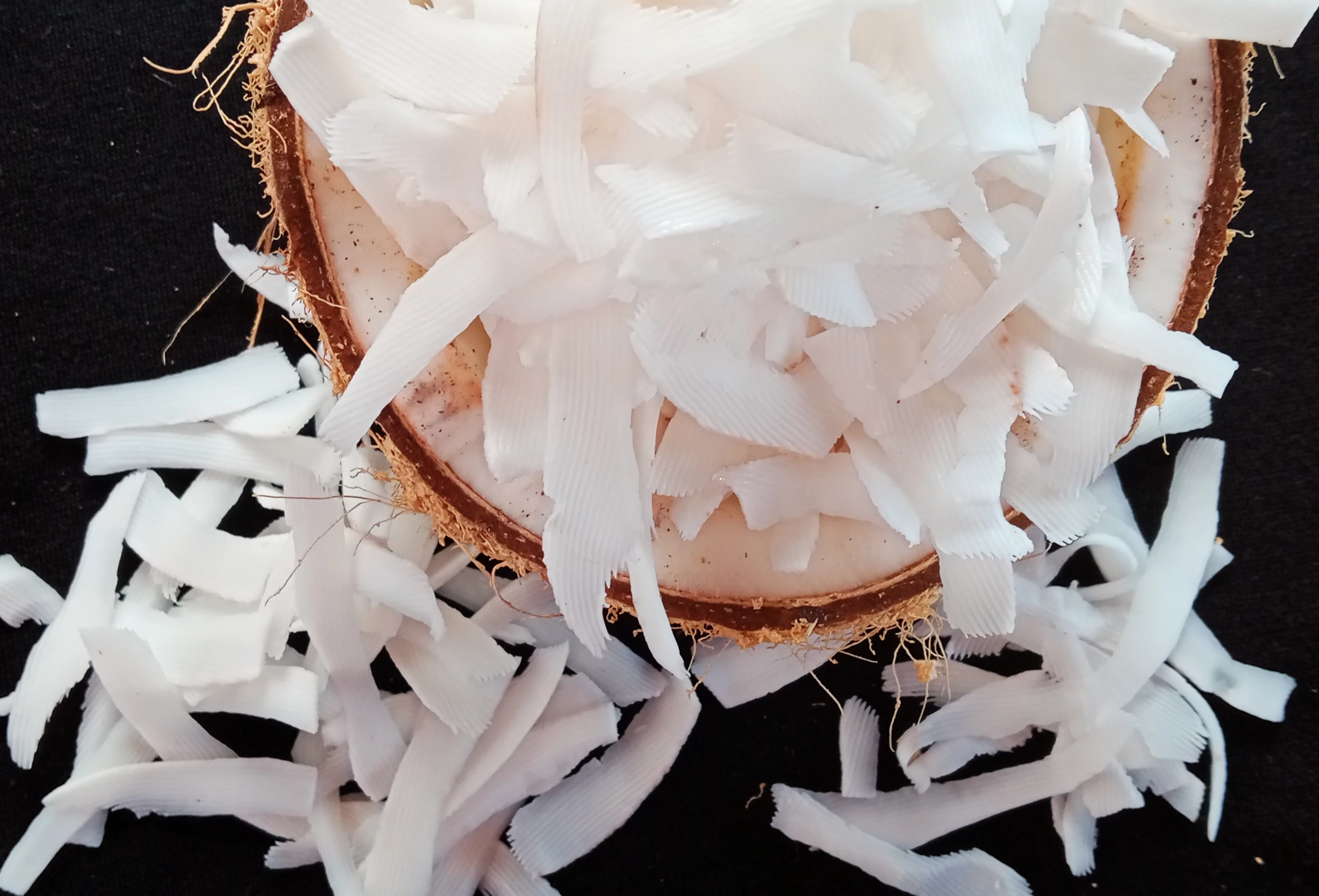 Низкая цена оптовая продажа сухой кокосовый орех из