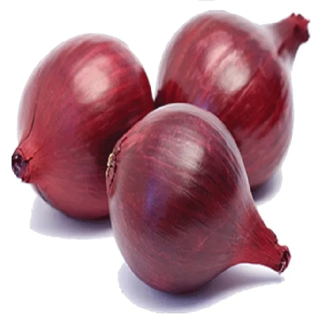 Premium Quality Bulk Selling Export Fresh Indian Small Onions Big Onions Multiplier Onions Harvesting Start November to January