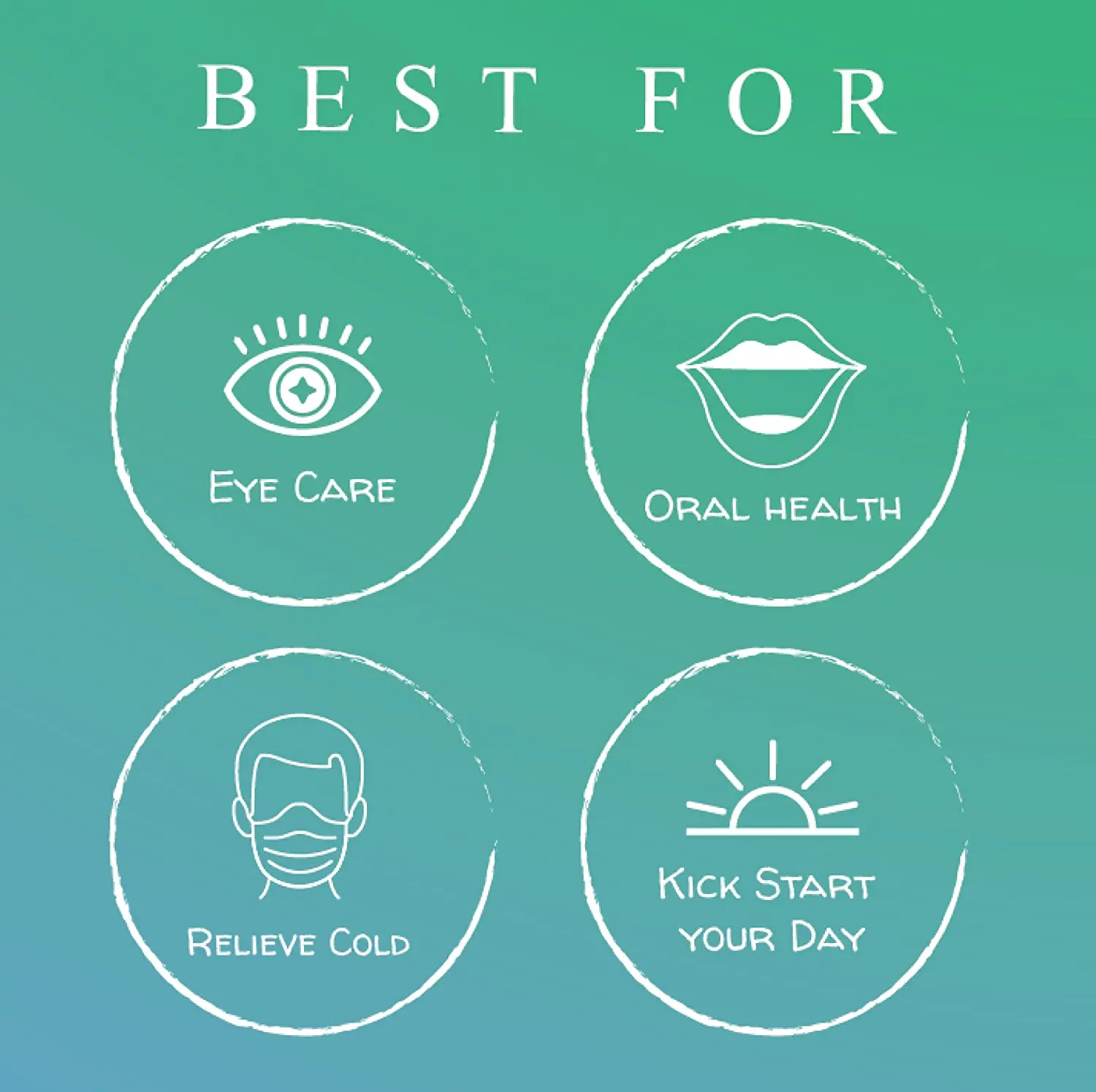 WANMAI29 Eucalyptus Tea for Sell Bag Box Loose Bulk Style Packaging Organic Health Weight Shelf Origin Type Age Slimming Life