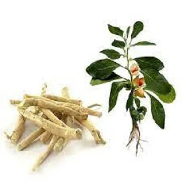 High Quality Ashwaganda Extract Herbal Extract Withania Somnifera Ashwagandha Extract Powder