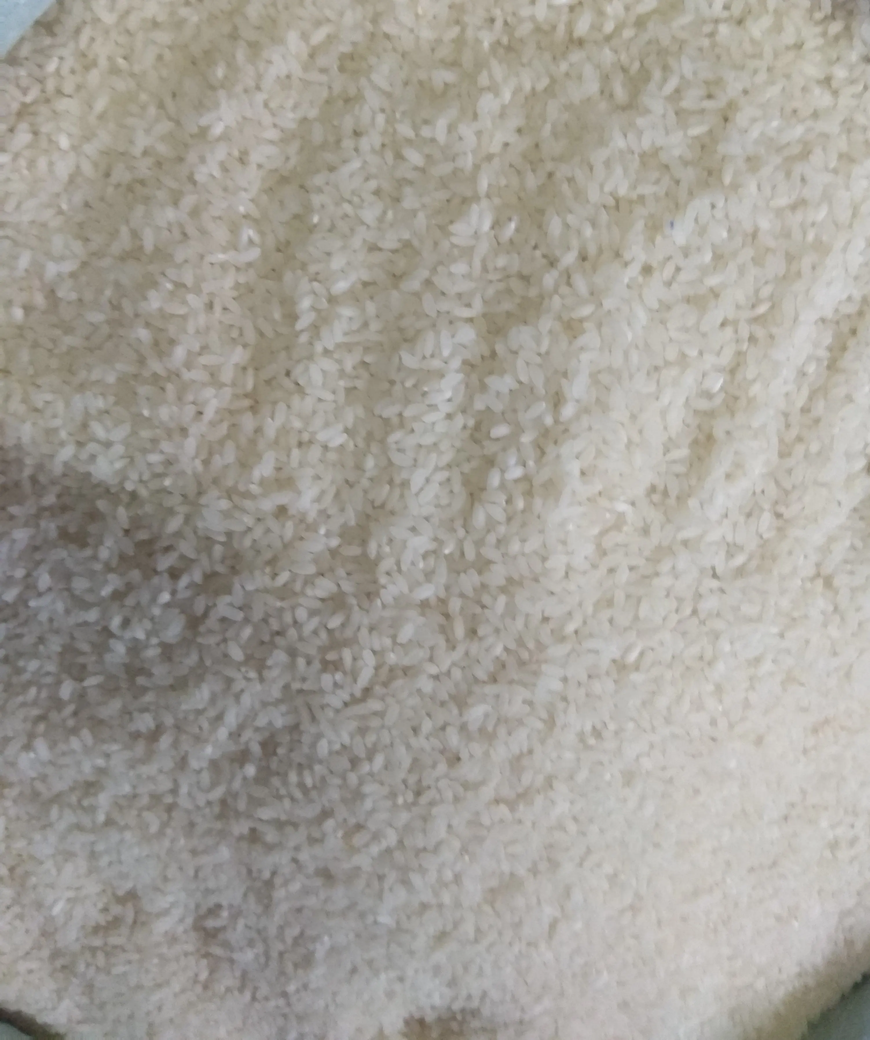 Высококачественный ароматический китайский рис высшего качества сахарная полка натуральный твердый белый оптовая продажа из