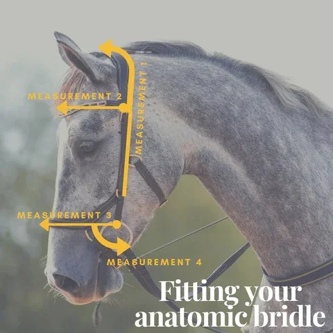 PREMIUM HORSE LEATHER ANATOMICAL BRIDLE FANCY DECORATIVE RHINESTONE JEWELED BROBAND BLING FULLY SOFTY PADDED BRIDLE OEM ACCEPTED