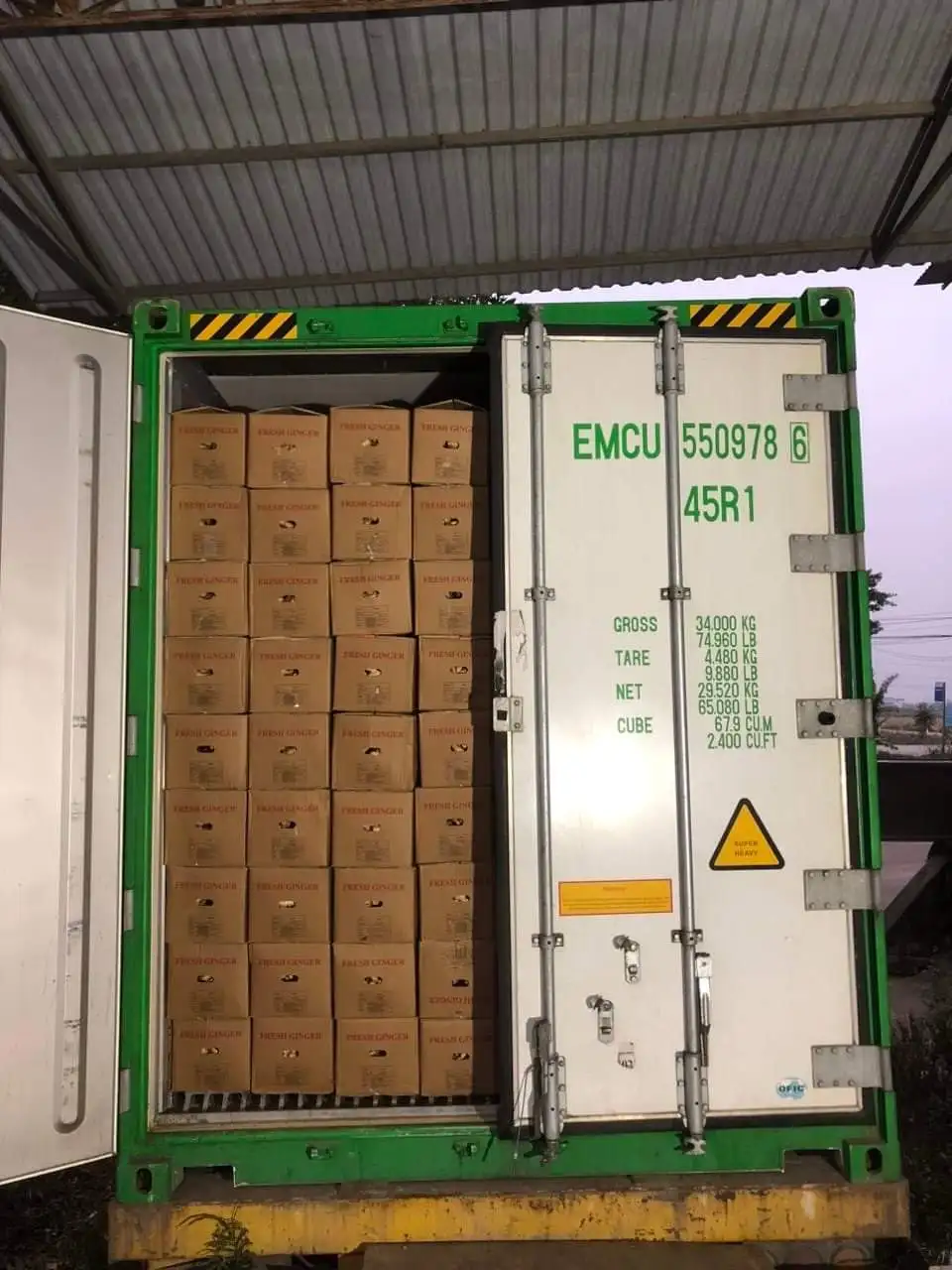 Fresh Ginger Organic Ginger Made in Viet Nam Export Vegetable Wholesale