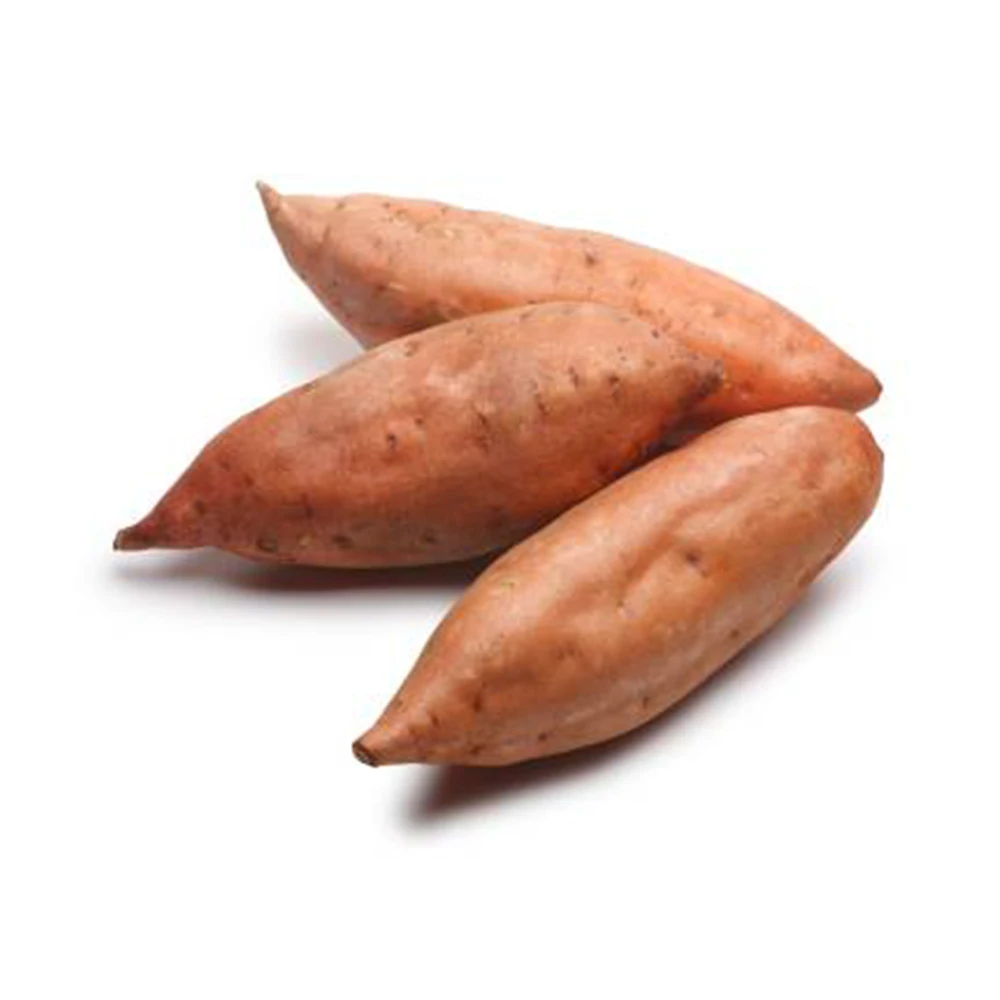 Best Price Sweet Potato for Sale