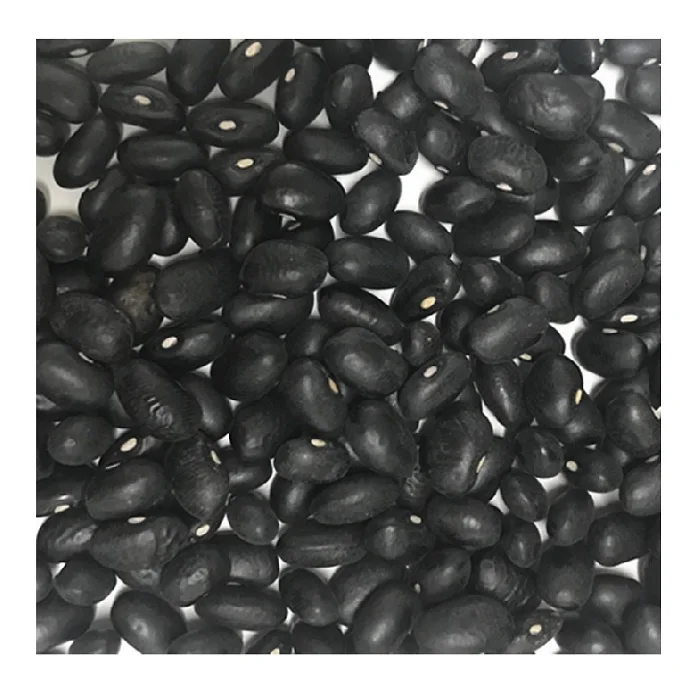 Durable using low price hot sale big small size flat black beans