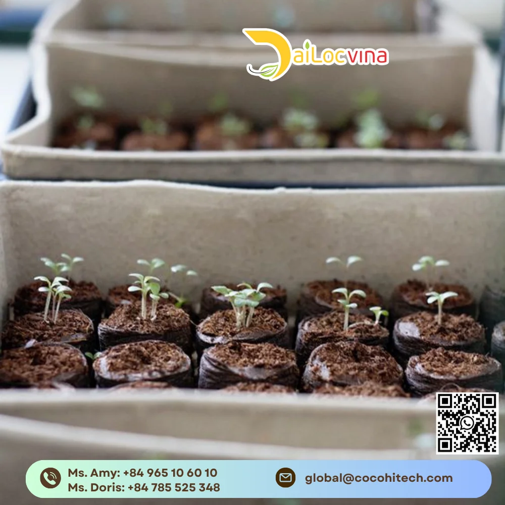 Кокосовый торф цена-кокосовый торфяный блок-закваска