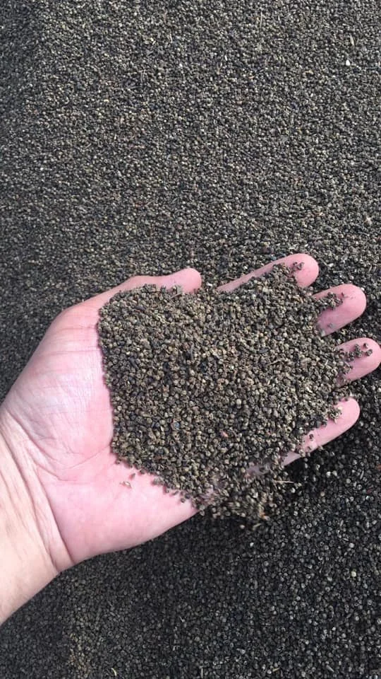 PINHEAD 1MM 1.5MM 2MM LIGHT BERRY WHITE PEPPER 630GL PEPPER CORN 2023 CROP OFFER