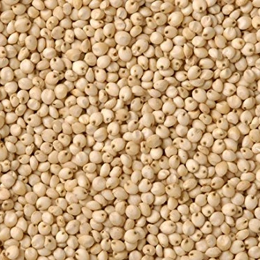 White Milo Sorghum Grains Sorghum Price Per Ton