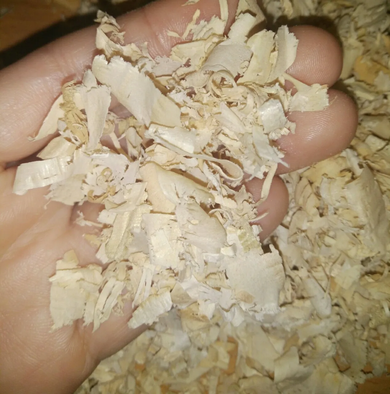 High Quality Agricultural Waste Product Wholesale Wood Shavings In Pressed Form For Animal Husbandry And Agriculture Use