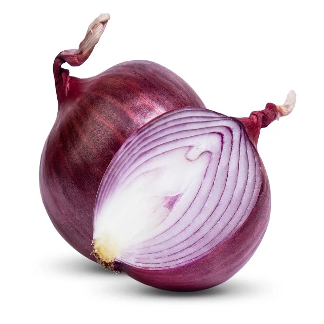 High Quality Best Selling Fresh Onions for Bulk Sale