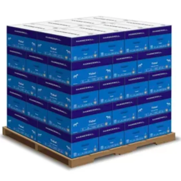 Best Selling Hammermill A4 Paper 20 lb Copy Paper (210mm x 297mm) - 10 Ream (5,000 Sheets)